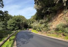 El Cabildo realiza rehabilita y mejora la seguridad de la TF-145 a su paso por Chamorga