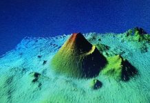 Hallazgo histórico en el Enmedio: detectan por primera vez fluidos hidrotermales en el volcán submarino