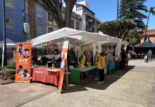 La Laguna acoge este sábado la novena edición de la Feria del Voluntariado